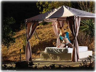 Bondage photo pic picture Ariel Anderssen rope bondage, barefoot, blonde, lingerie, outdoor, ungagged, frogtie