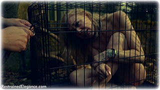 Bondage photo pic picture Lucy Lauren armbinder, rope bondage, barefoot, gag, bedroom, blindfold, handcuffs, blonde, single glove, hot wax, humiliation, slave training, spanking, cage, leather bondage, casual clothes, chains, metal bondage, cock gag, nipple clamps, collar, nude, nude in metal, outdoor, vibrator, wet